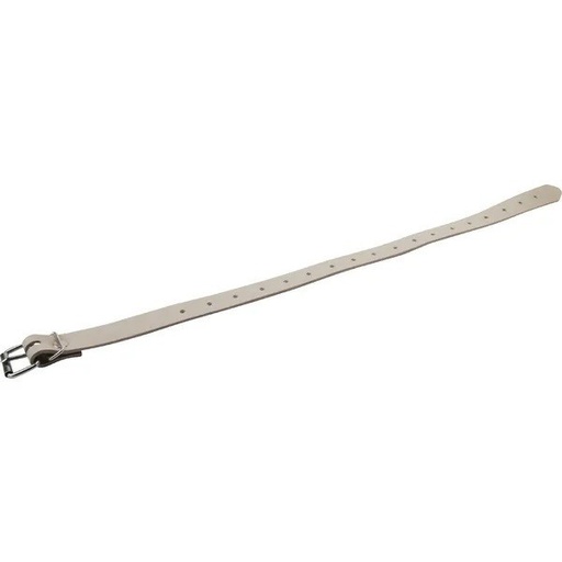 [PL10014] Curea prelata 20x500mm