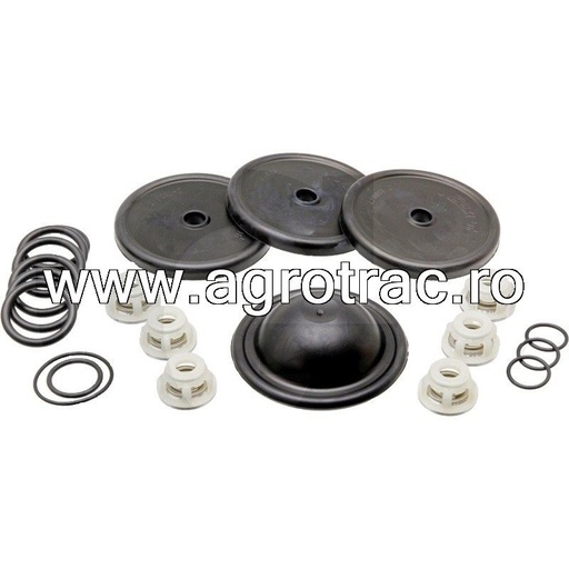 [6705026032600] Set reparatie pompa erbicidator Comet 50260326