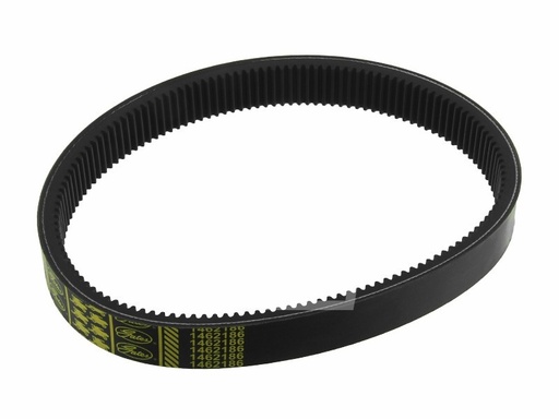 [40X920 092.040X] Curea Continental 670224.1 Agridur pentru Claas