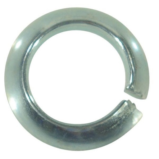 [7436118] Saiba conica M18