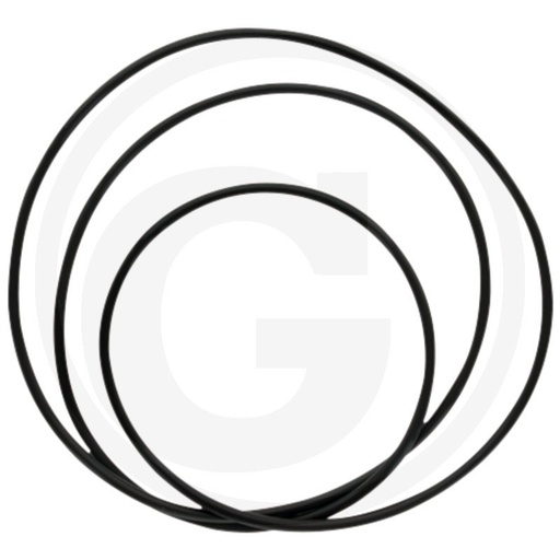 [38006233] O-ring X549046900000 pentru turbomatik Fendt