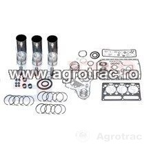 [28/30-171] Set motor MWM D226-3