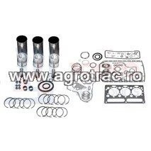 [28/30-171] Set motor MWM D226-3