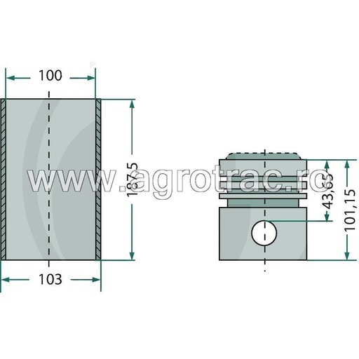 [38017158] Set piston 4653280 + 79037500 + 1909172 pentru Fiat motor Iveco