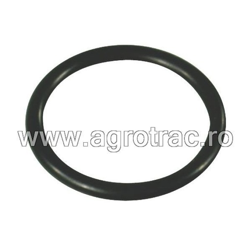 [680070] O-Ring 680070 Annovi Reverberi