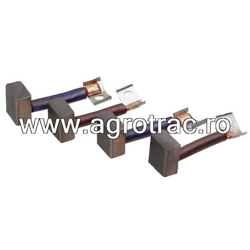 [37899295] Carbuni electromotor 2007014068 pentru Bosch