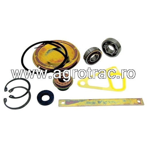 [141000000000] Kit reparatie 141100060700 pentru pompa apa Steyr