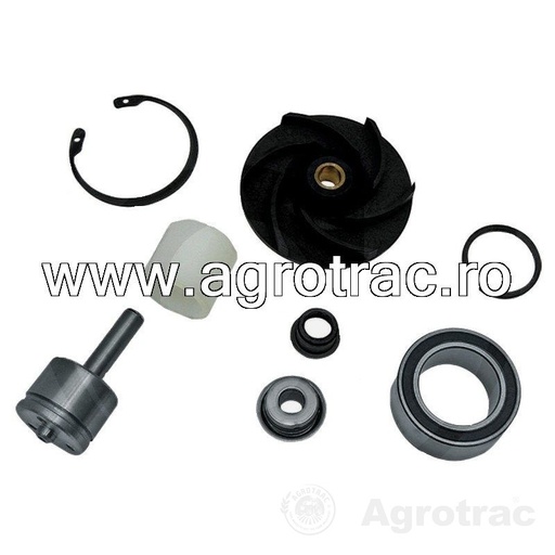 [74712078 RE70962] Set reparatie pompa apa RE509813 pentru John Deere Renault