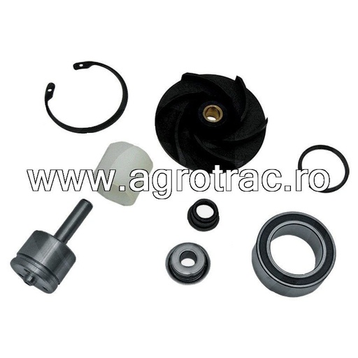 [74712078 RE70962] Set reparatie pompa apa RE509813 pentru John Deere Renault