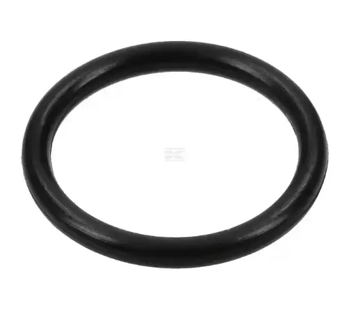[30155] O-RING 55X2 OR552P010