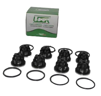 [30454] Set supape Udor 6062D5 Zeta 170 200 KIT638