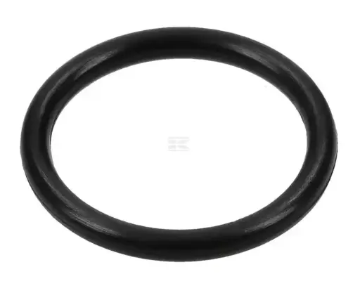 [30722] O-RING 16X2 OR16290P010