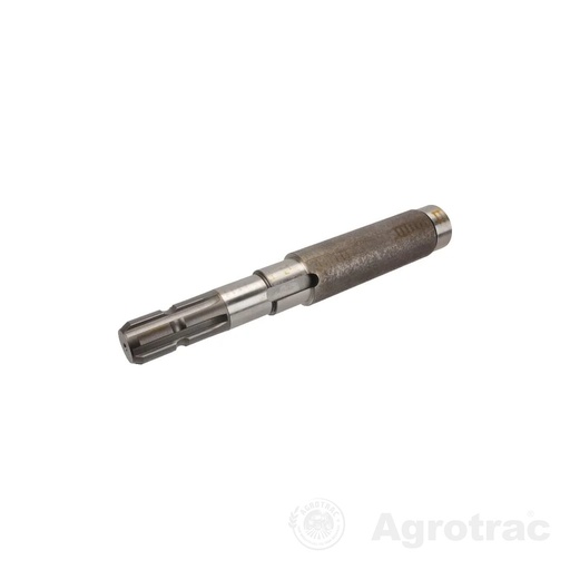 [K2250515] Arbore Comer 02792201