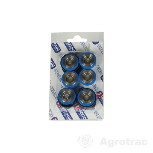 [K2668251] Set supape Bertolini 039875973