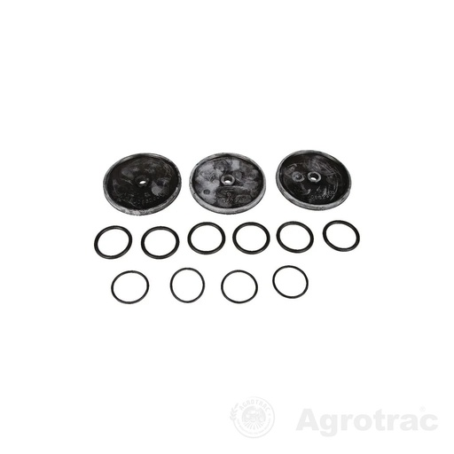 [K2956639] Kit membrană viton PA 330.1/430.1 039879973