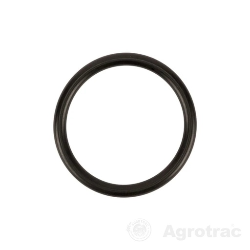 [K2127391] O-ring 31,34mm (rif.4125) UD110127